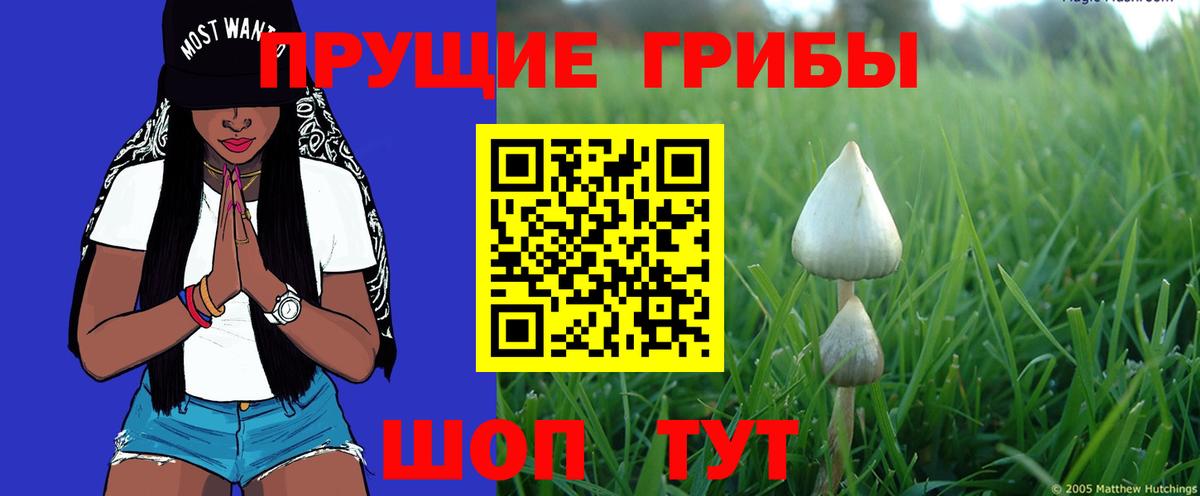 Галлюциногенные грибы GOLDEN TEACHER Клинцы