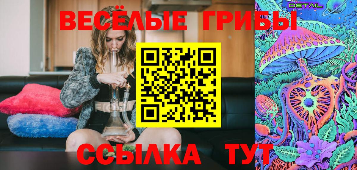 Галлюциногенные грибы прущие грибы  Галлюциногенные грибы прущие грибы  Вход с VPN  Клинцы 