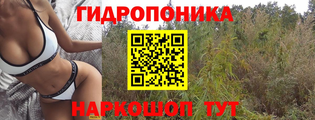 Каннабис план Клинцы